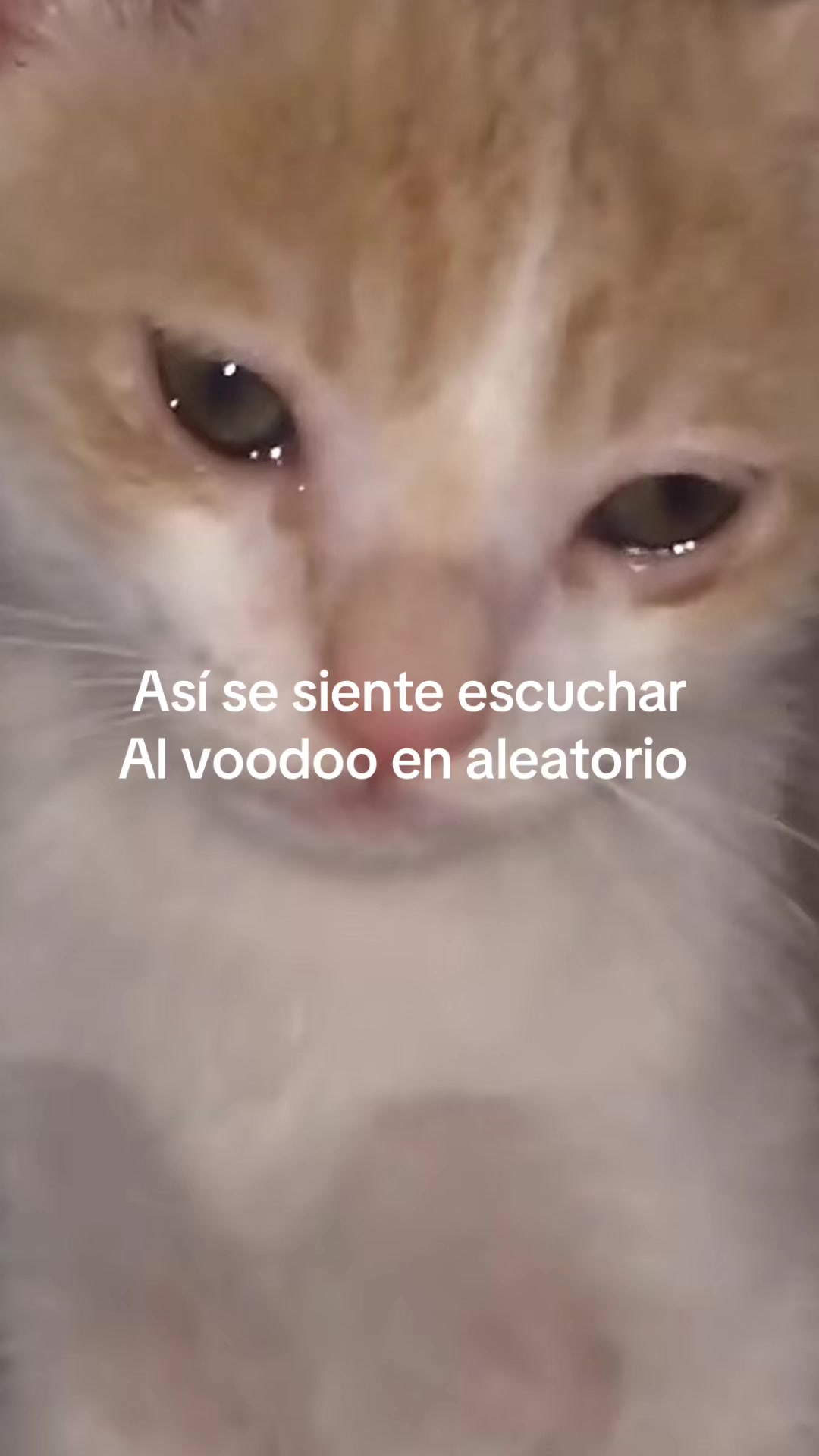 @Noticias s&aacute;tiro