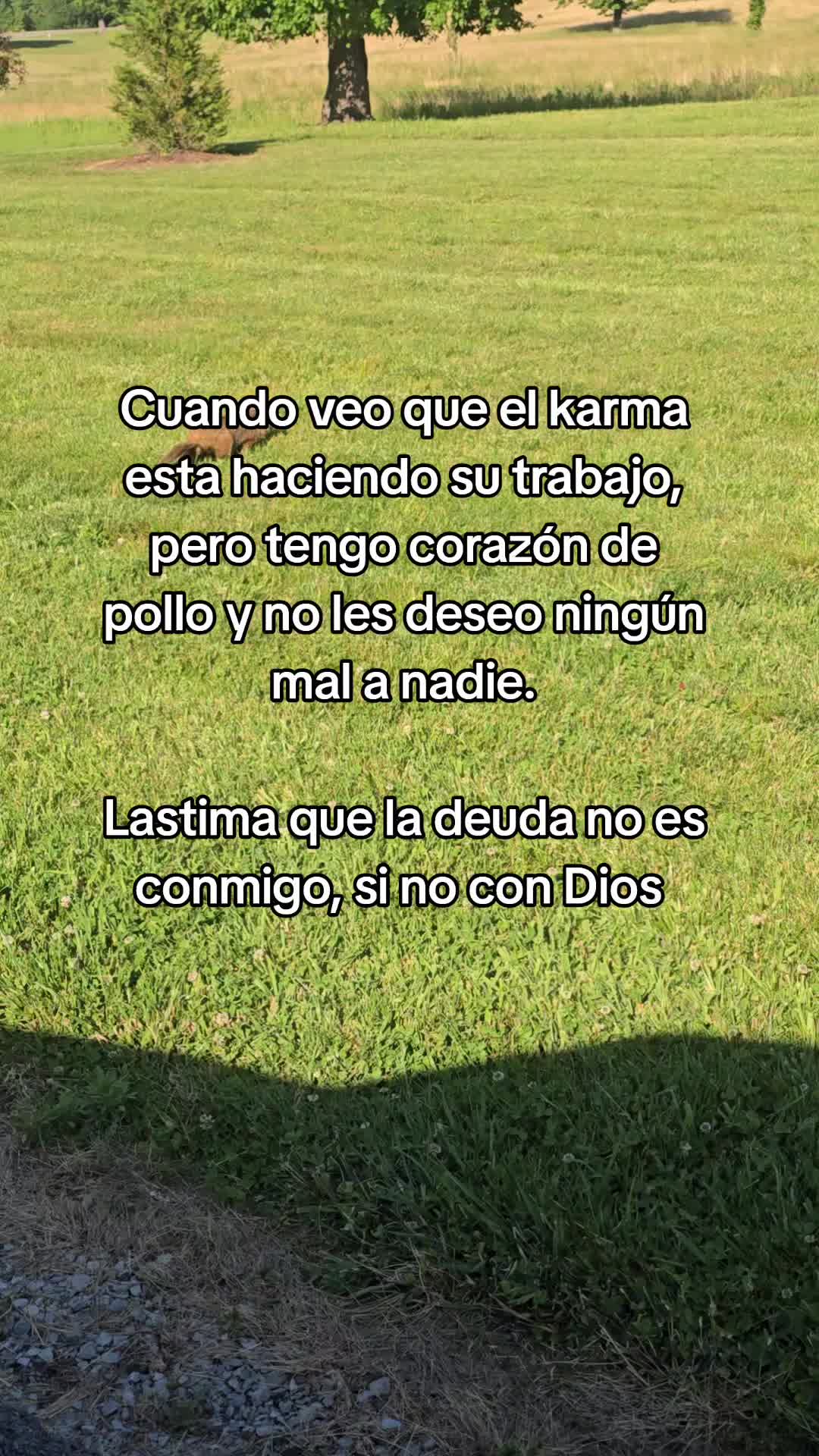 @🌙✨️🦦Yaneth 🐛🦋