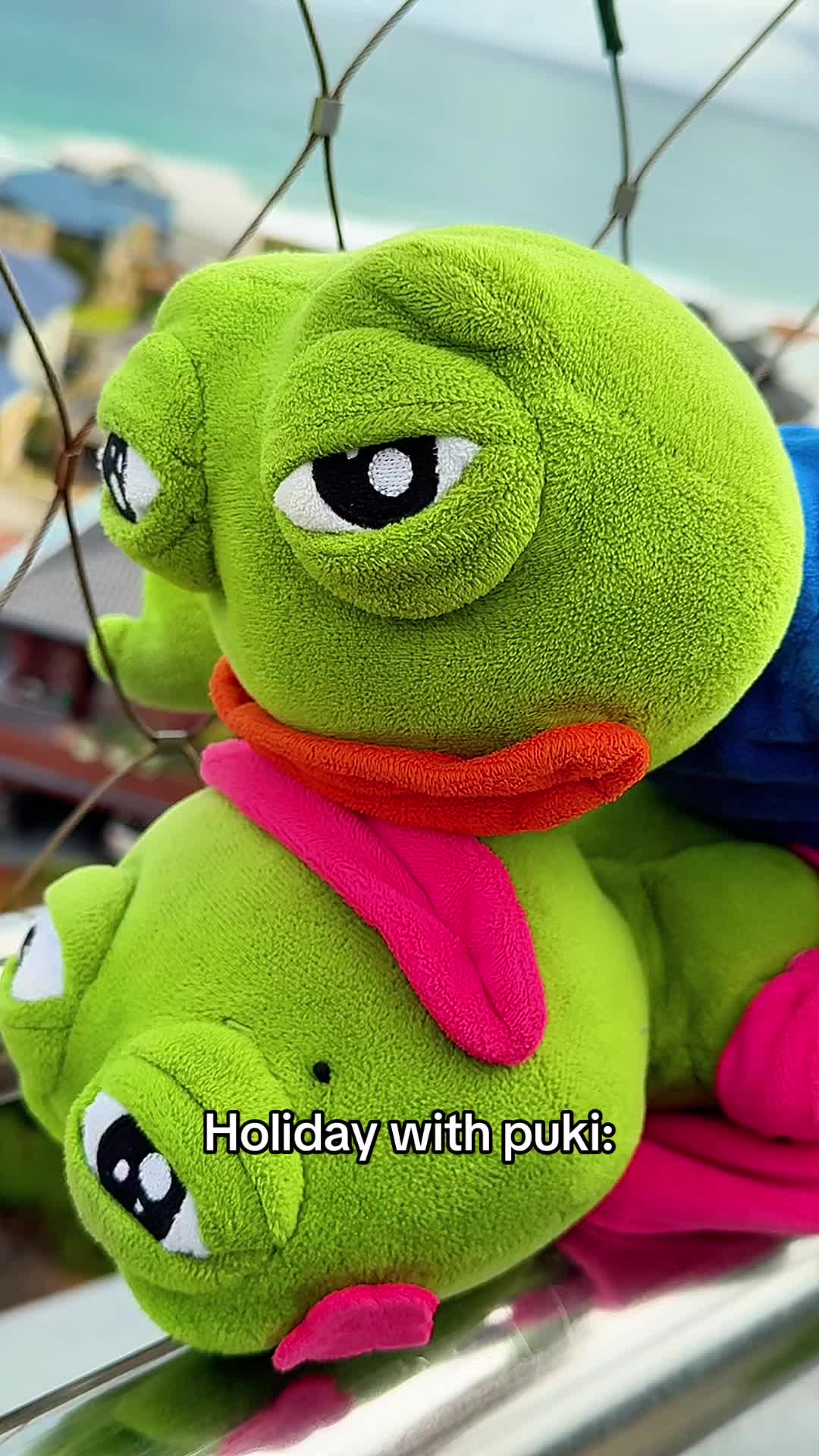 @AdoptAPepe
