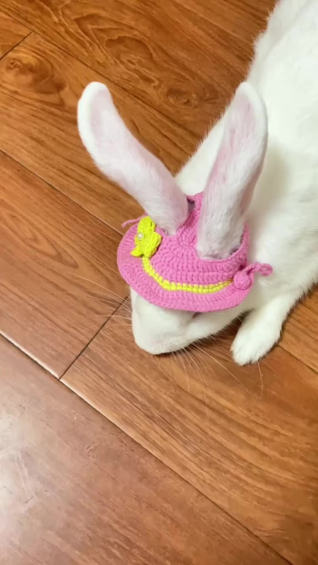@RabbitBall