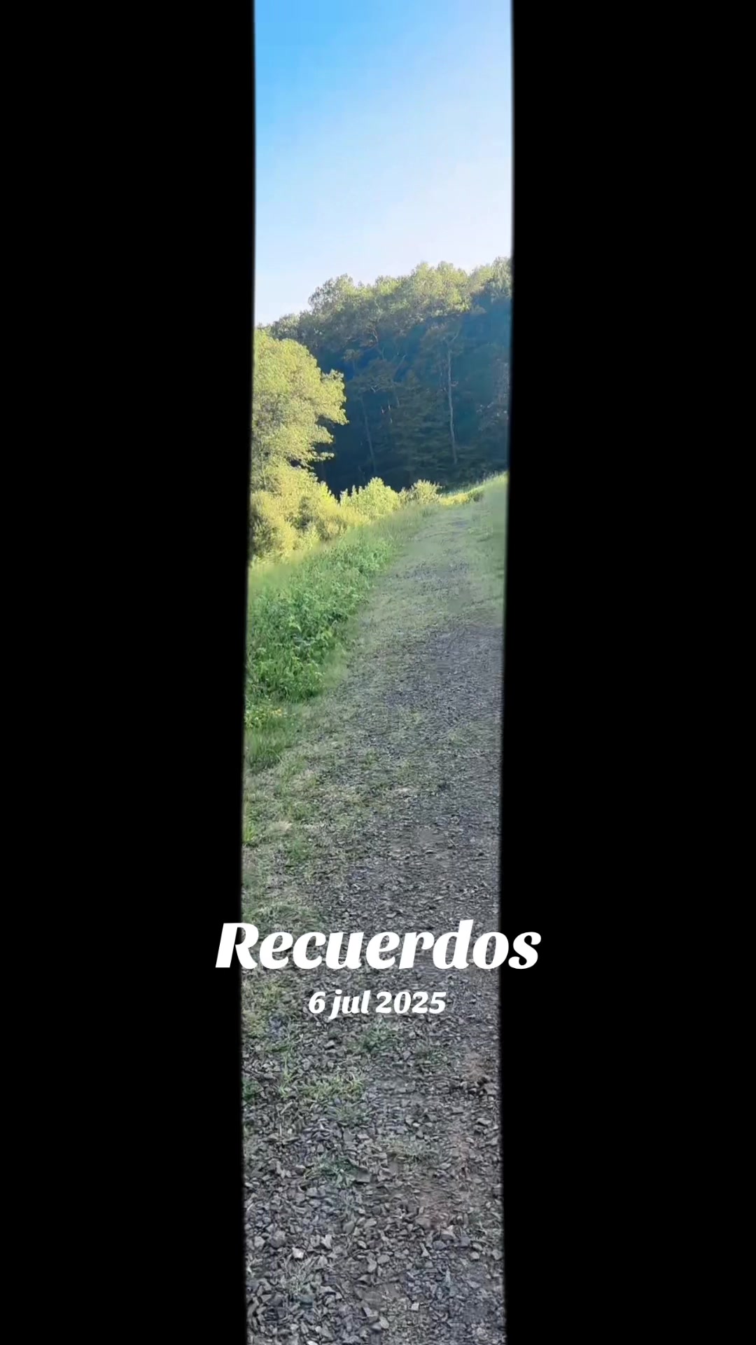 @Lisbeth 184