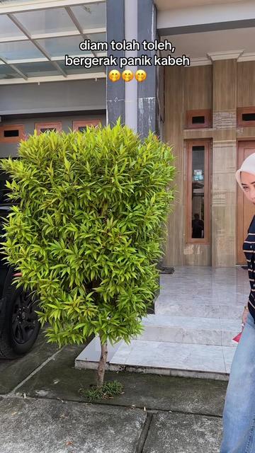 @RISCA MBENDEL