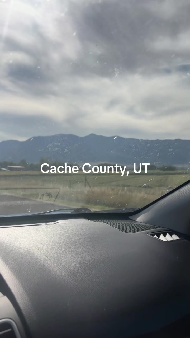 @Good Coyote