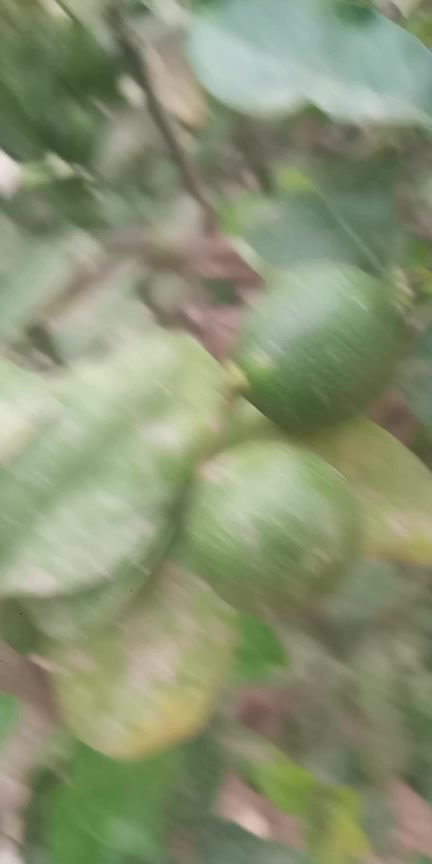 @Moussa Ndiaye KALAMOU LAH