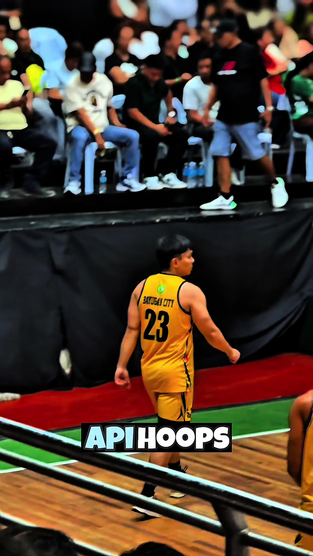@apihoops_