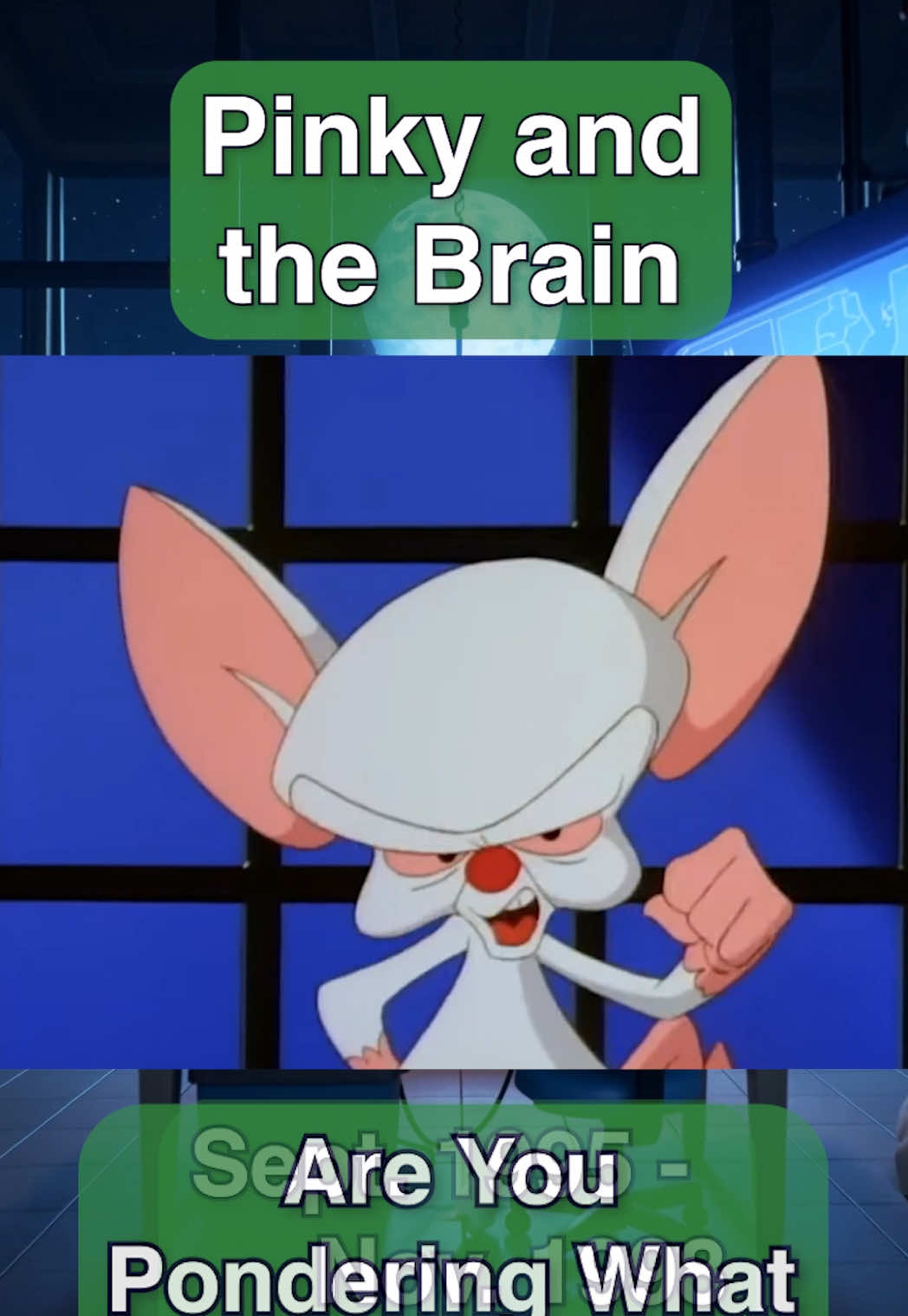 @Brian / The Fisch Cut