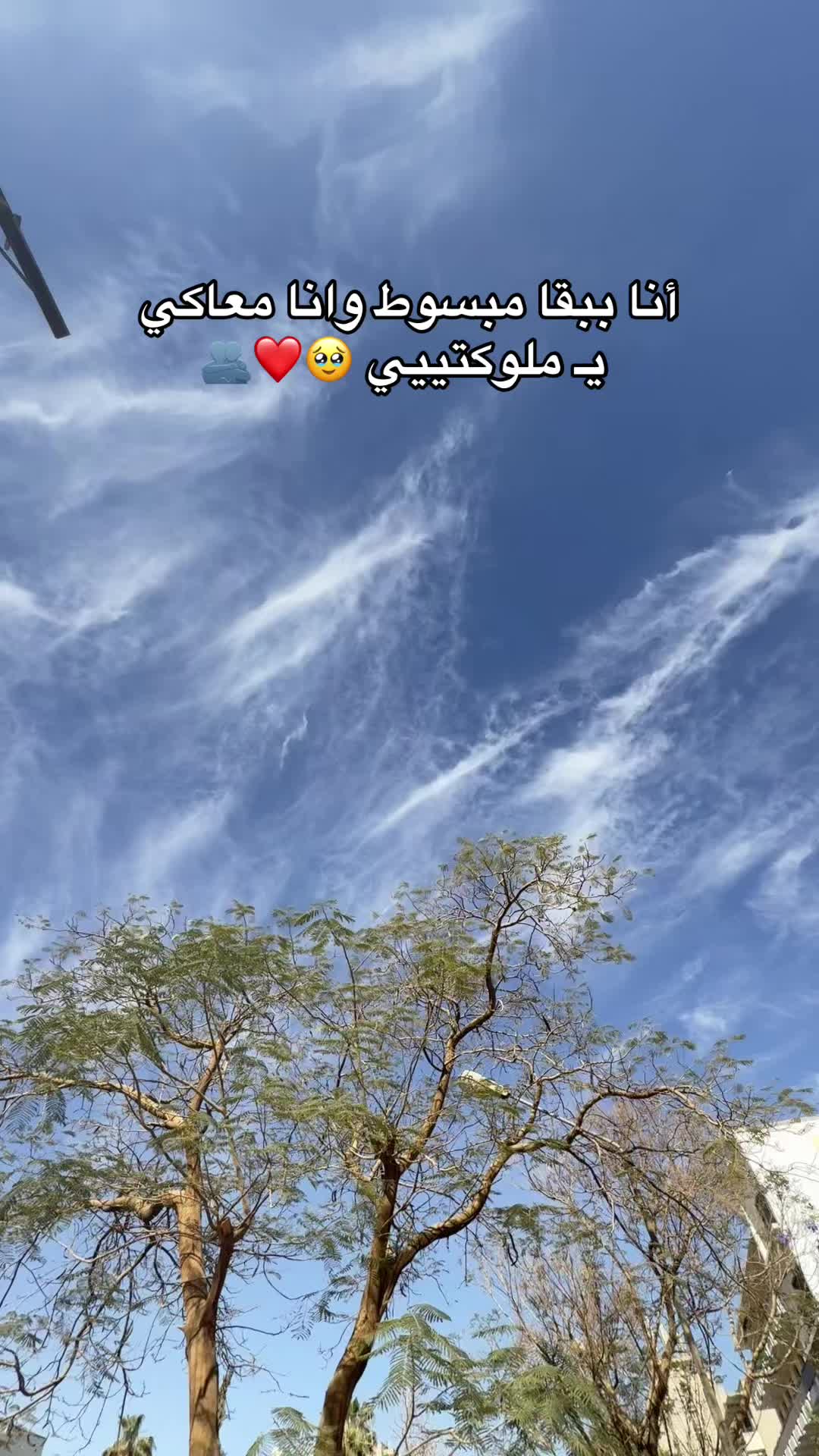 @بحب ملوكتي 😍💘