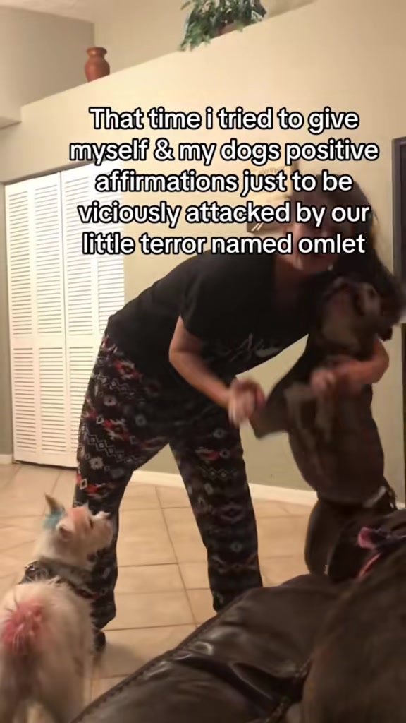 @Jess Shark🐾DOG PACK🐾