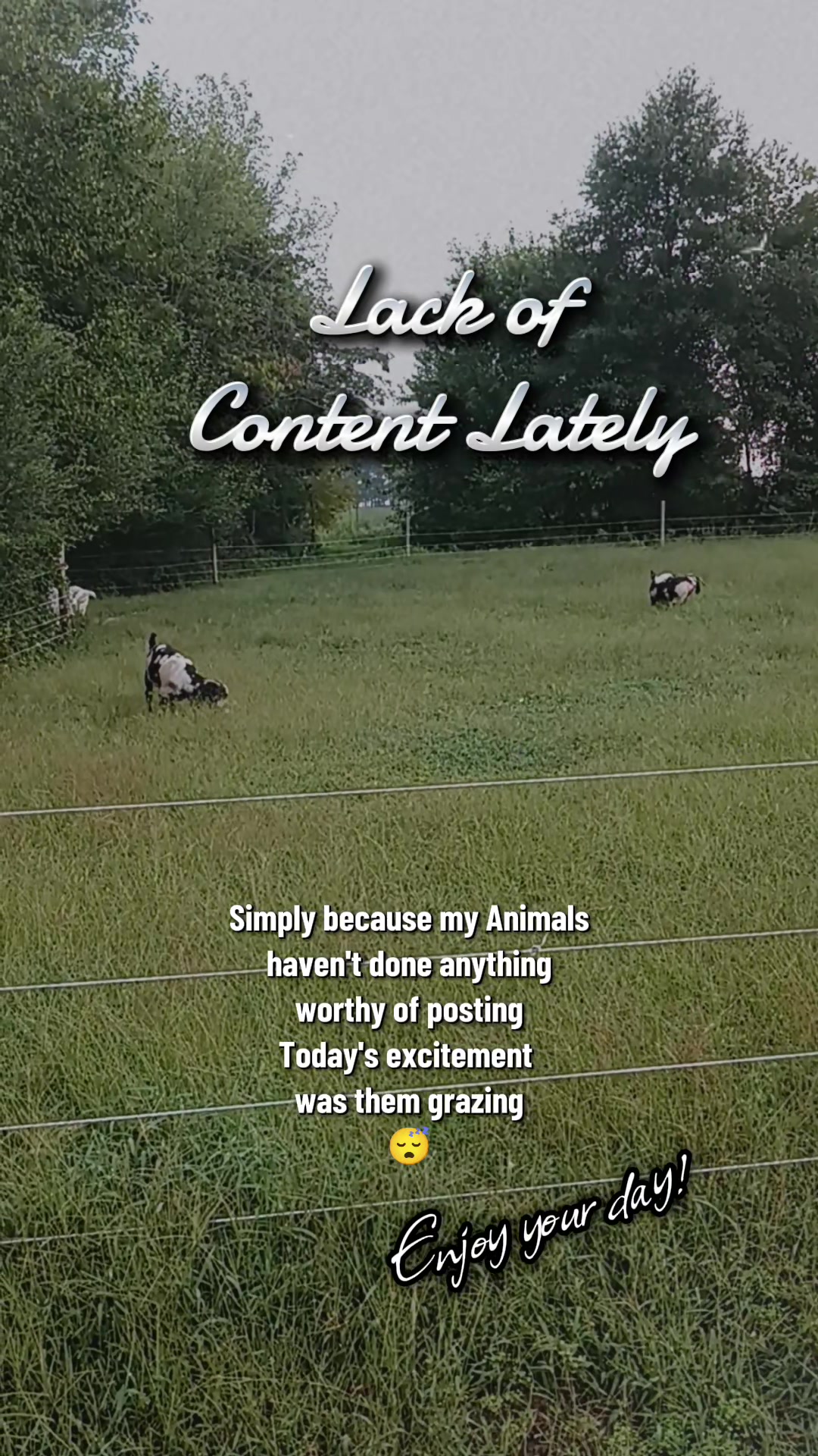@Kinohi Poultry/ JCK Boer Goats