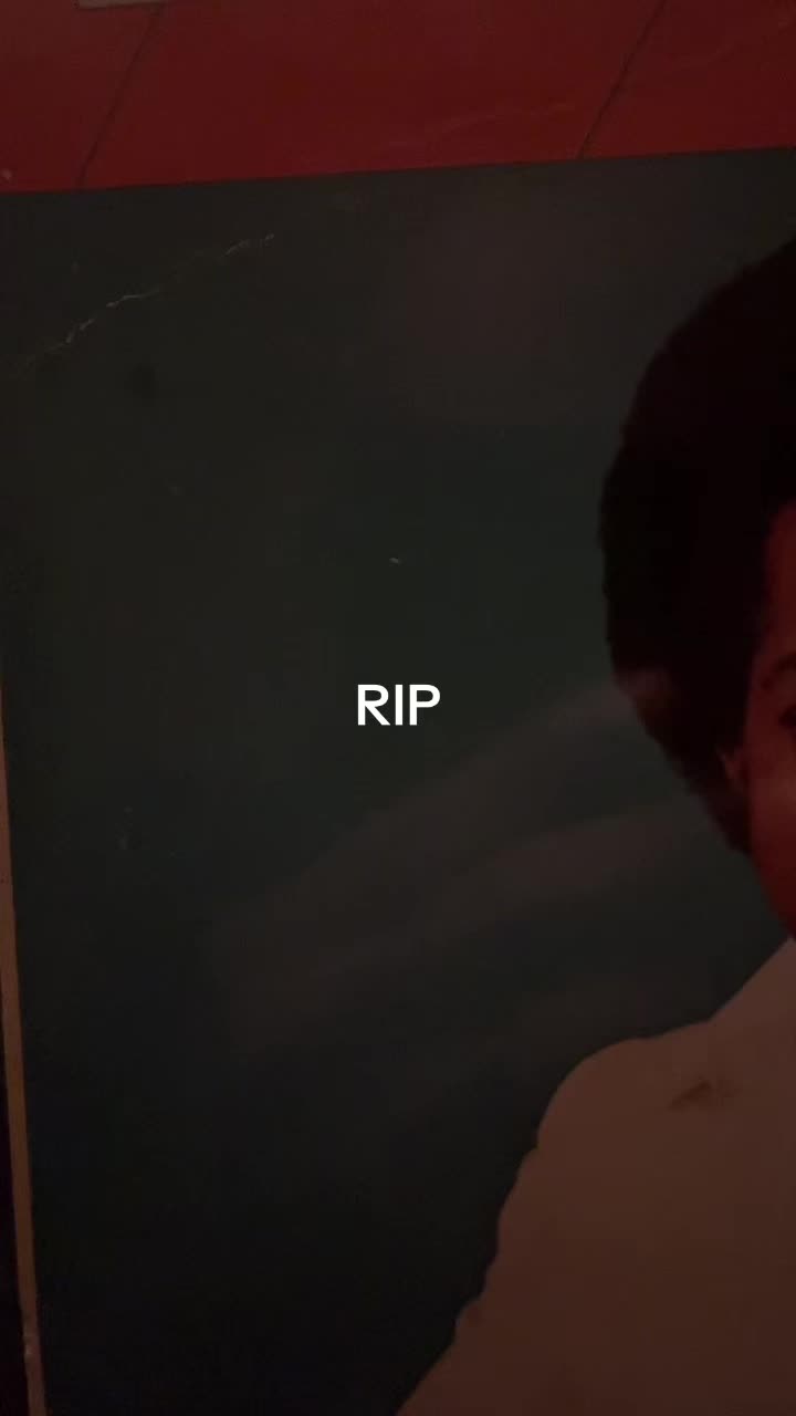 @The Vinylist