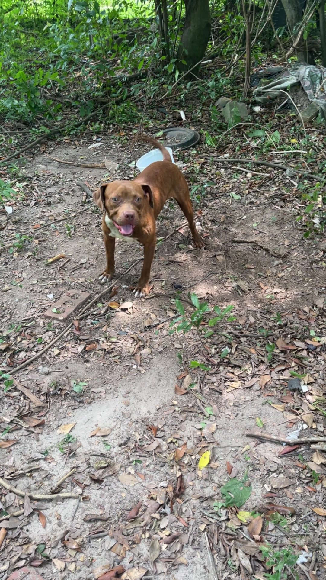 @kamwithapbt