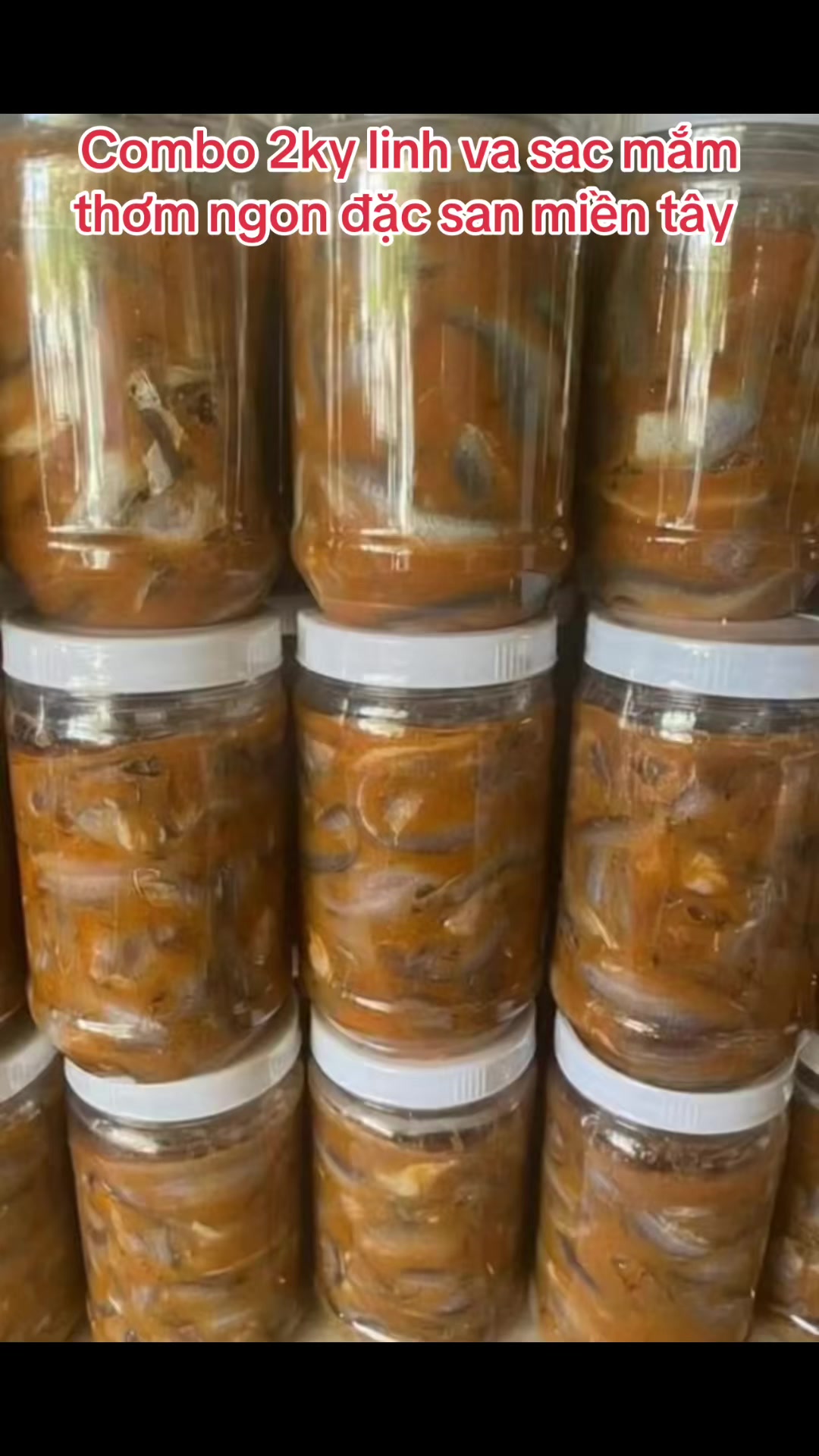 @Shop Mai Ngọc