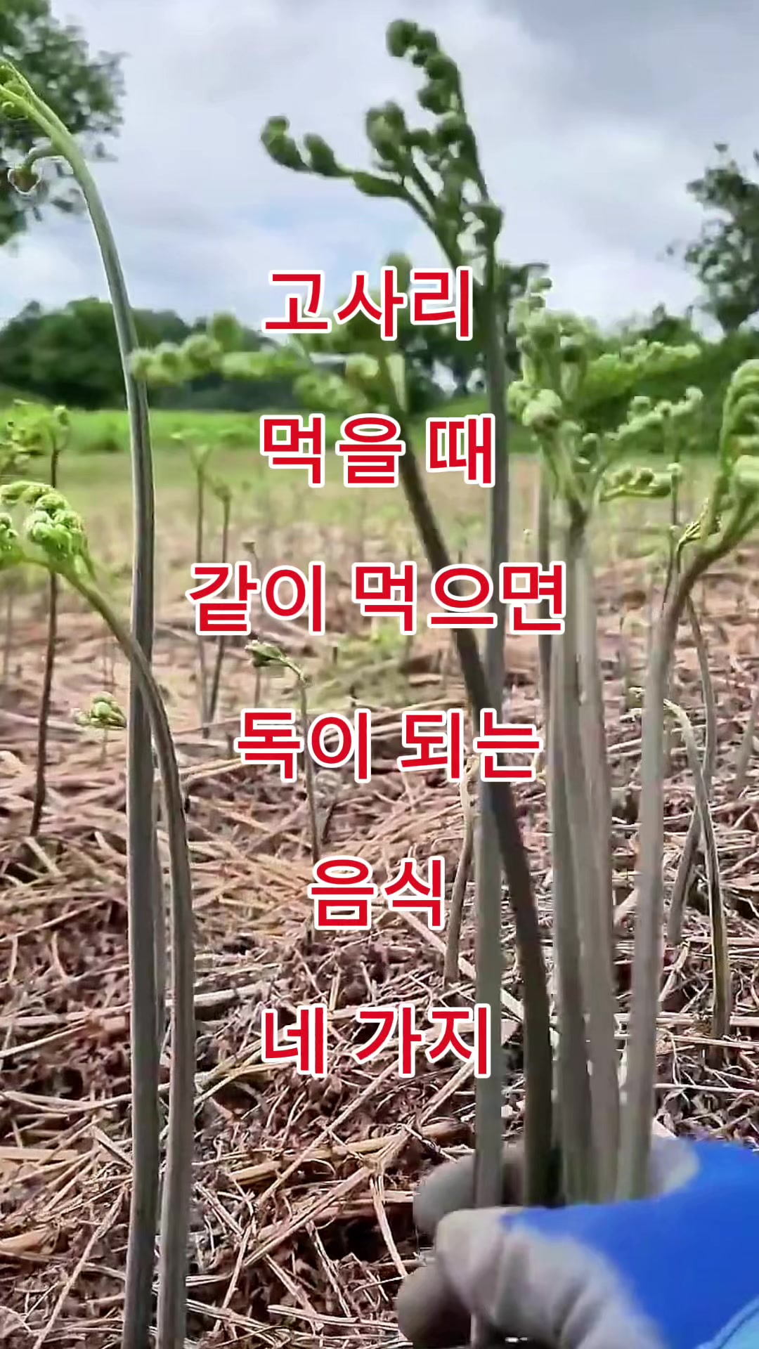 @김 박사입니다