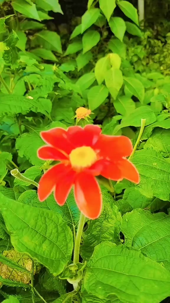 @Mayraโ๏ธ