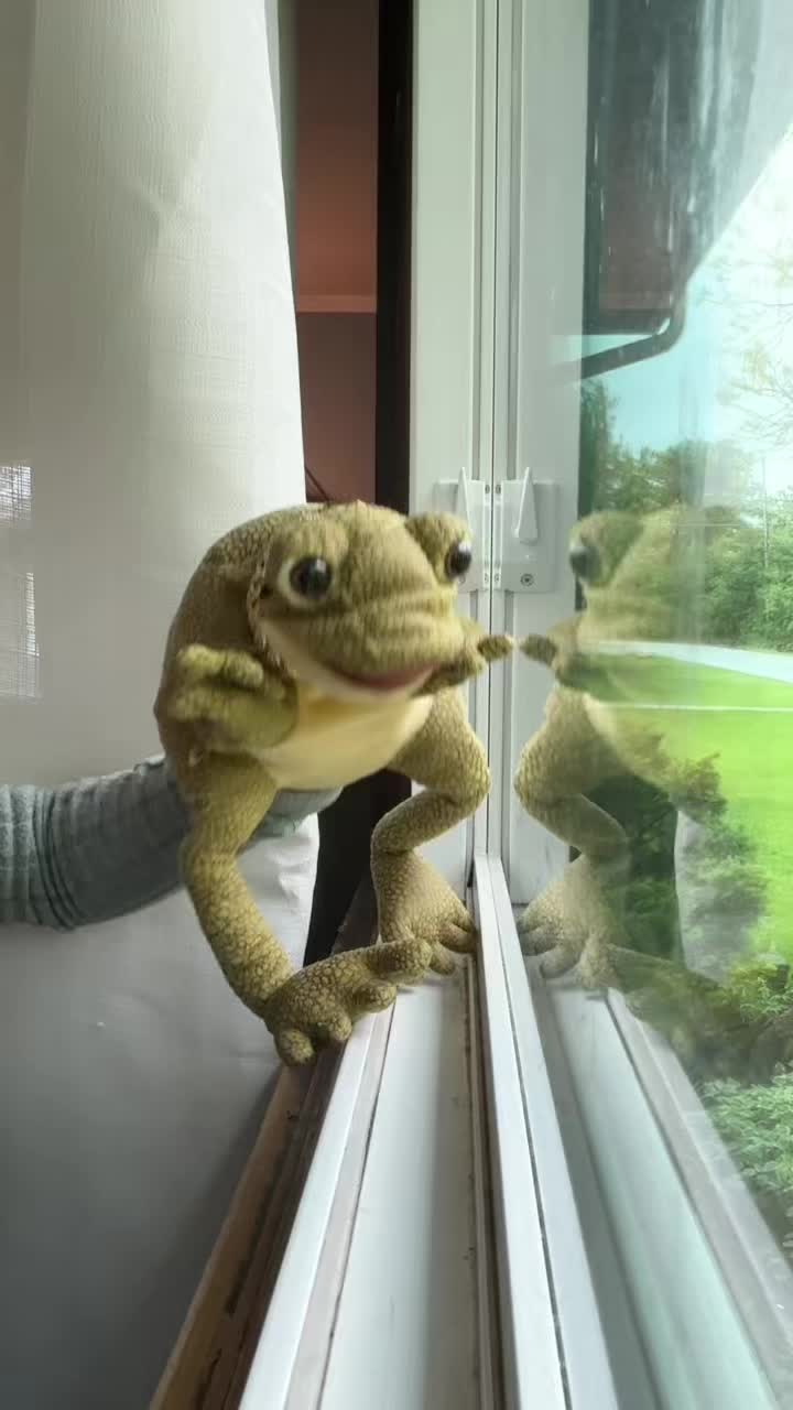 @Freddy_theFreakyFrog