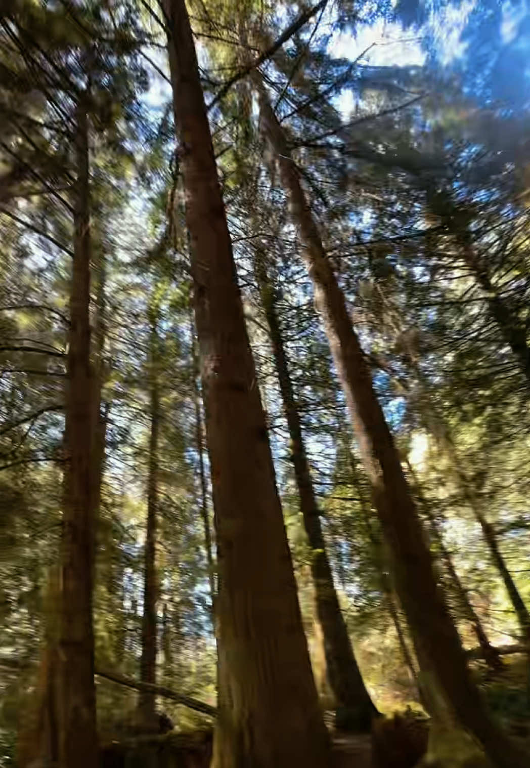 @Nature videos