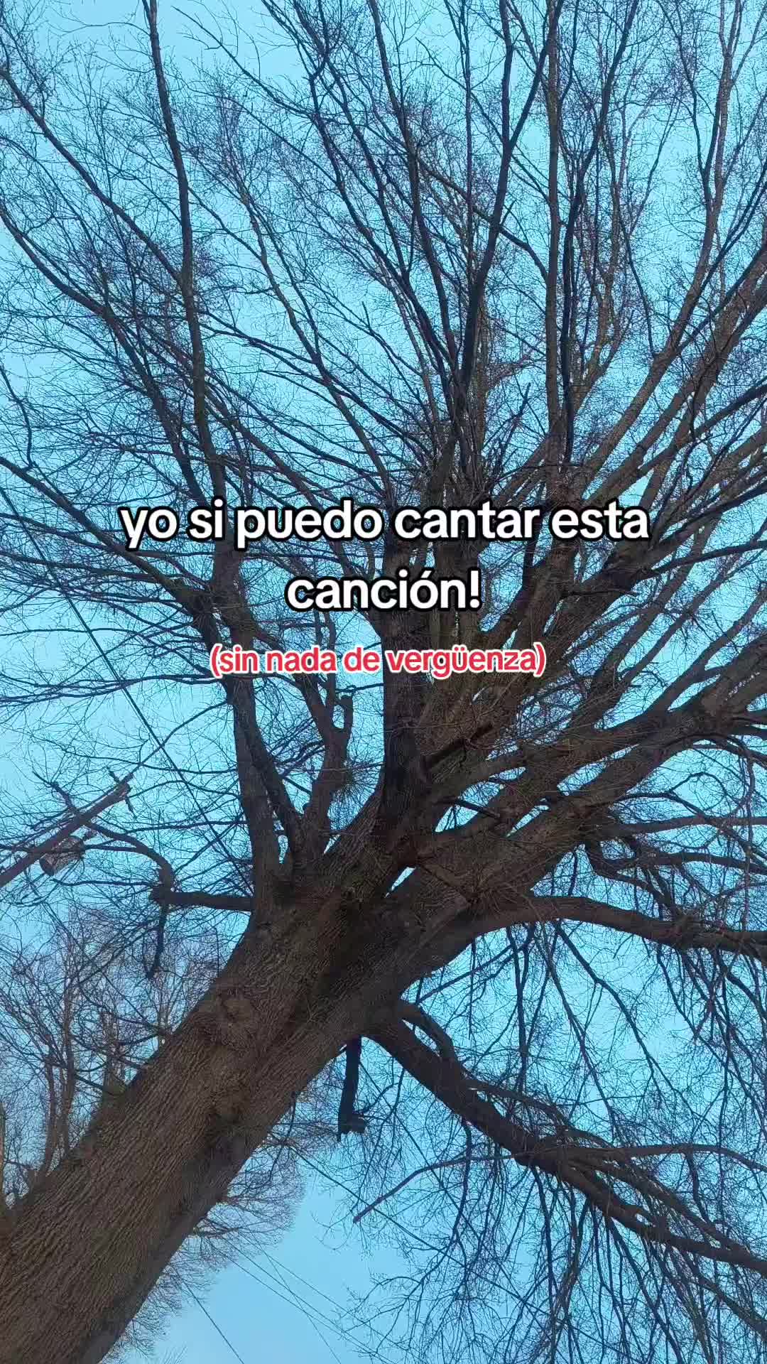 @Lau 🖤🌙