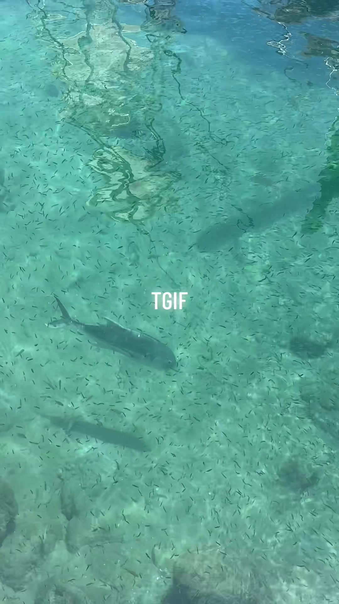 @AtlanticSurfLife