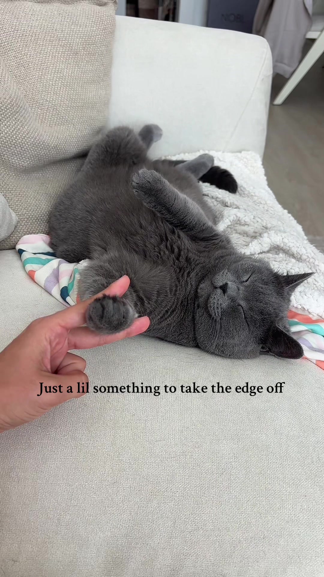 @Boris & Gregg
