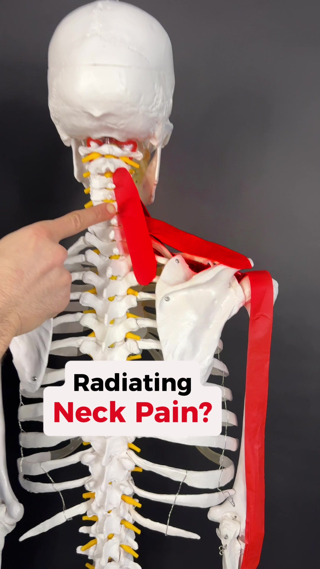 @Dr. Joe Damiani, DPT
