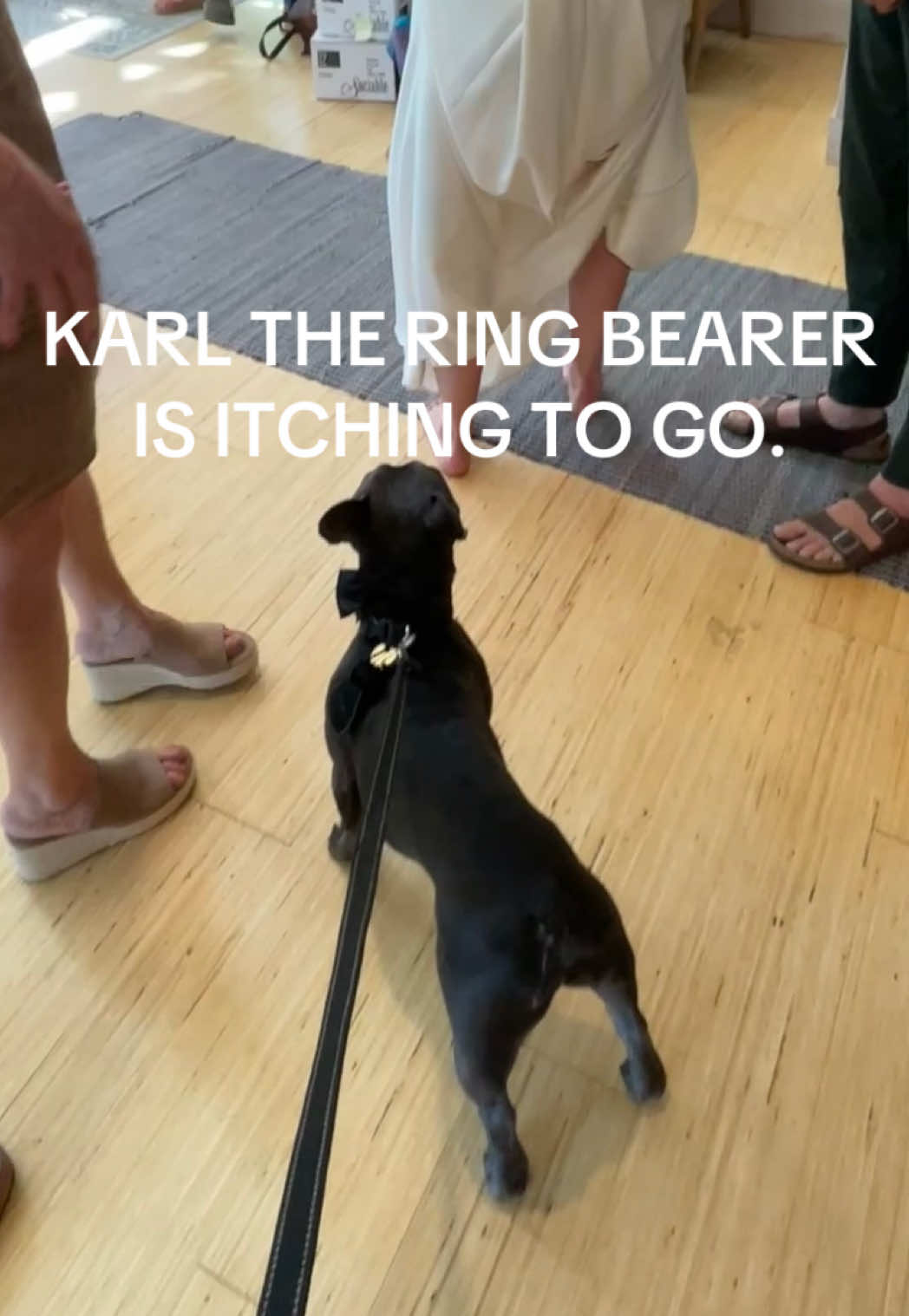 @kinkirro