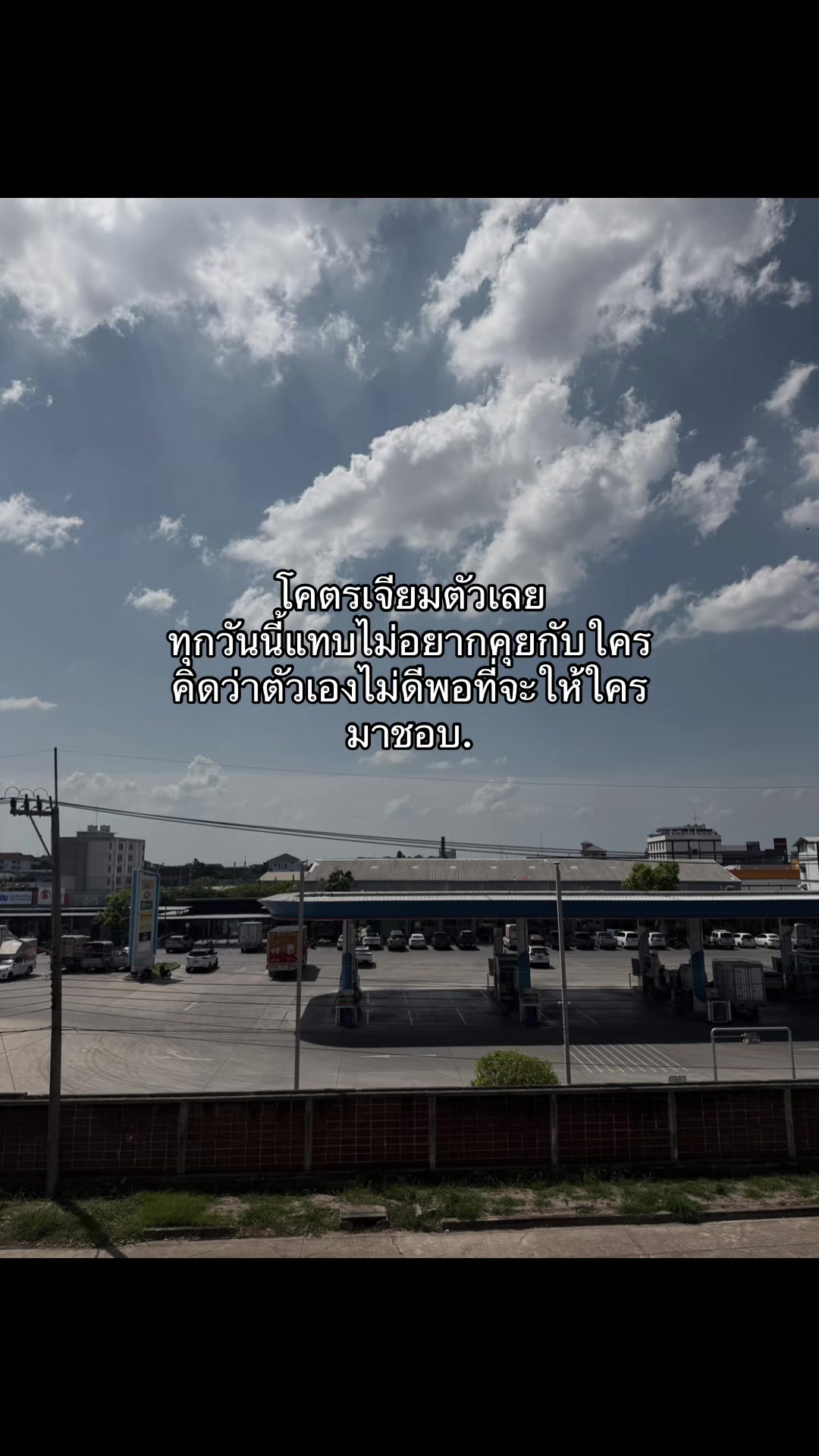 @ชีว๊าสส&lsquo;ส ชวาร็อฟกี้