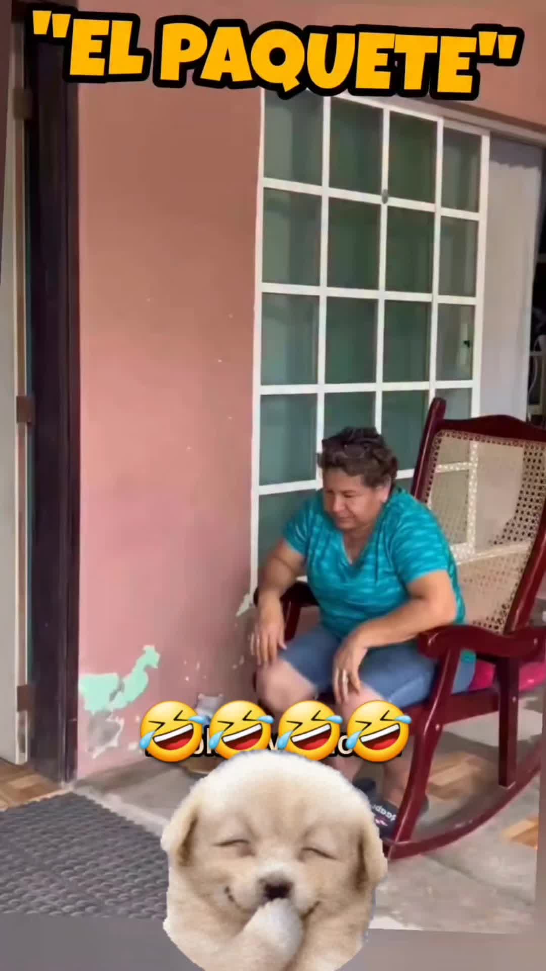 @el panda solitario