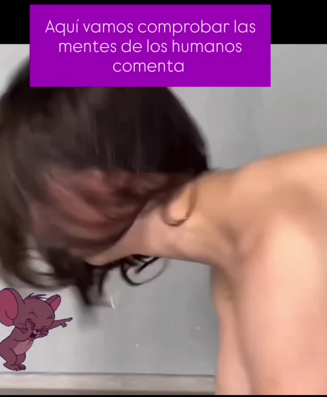 @el panda solitario