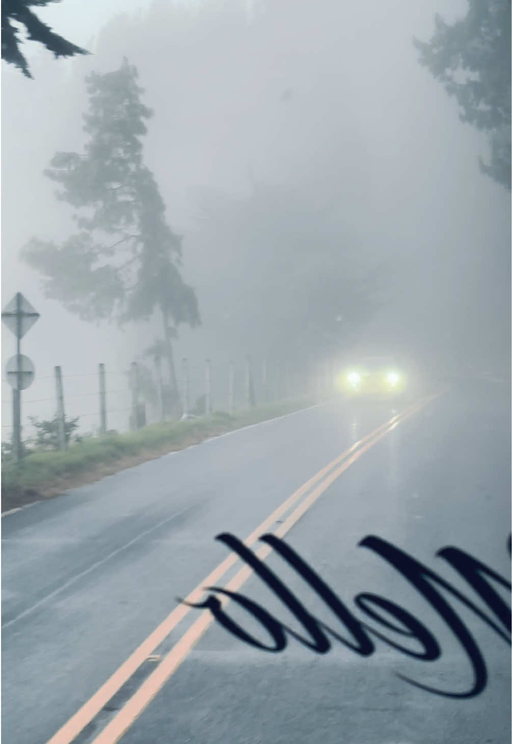 @𝖂𝖎𝖑𝖑𝖎𝖆𝖒 𝕲𝖆𝖗𝖈𝖎𝖆 
