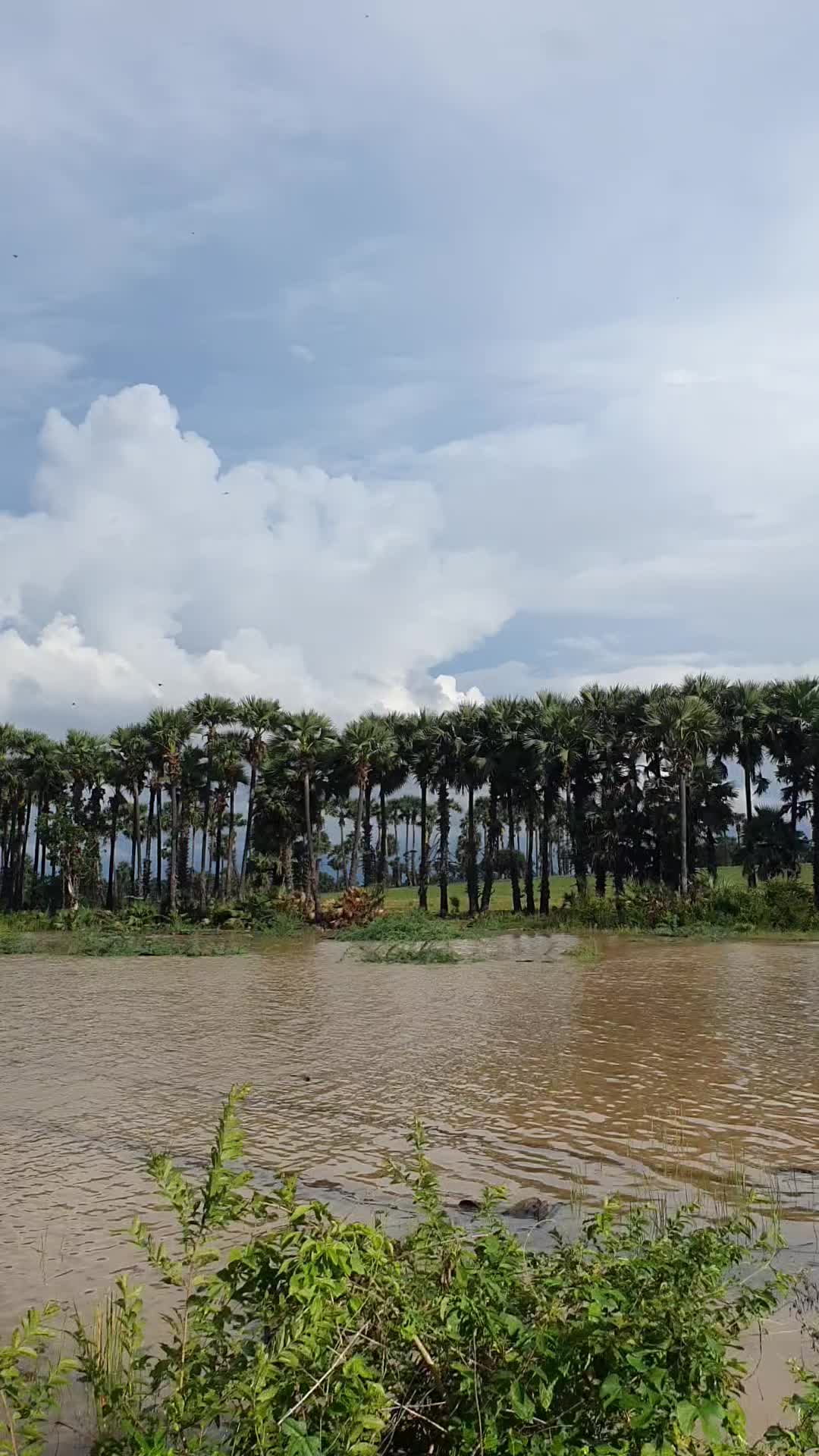 @Tan Kyaw Ko