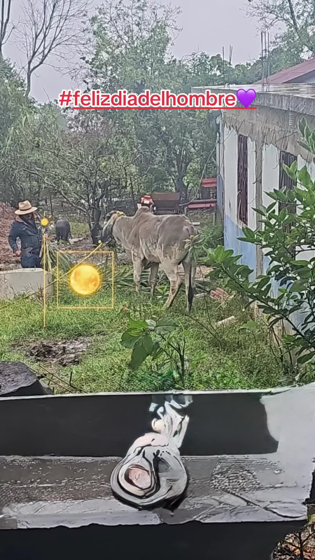 @javierg03