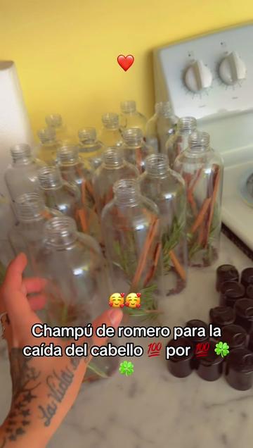 @alecastillo1999
