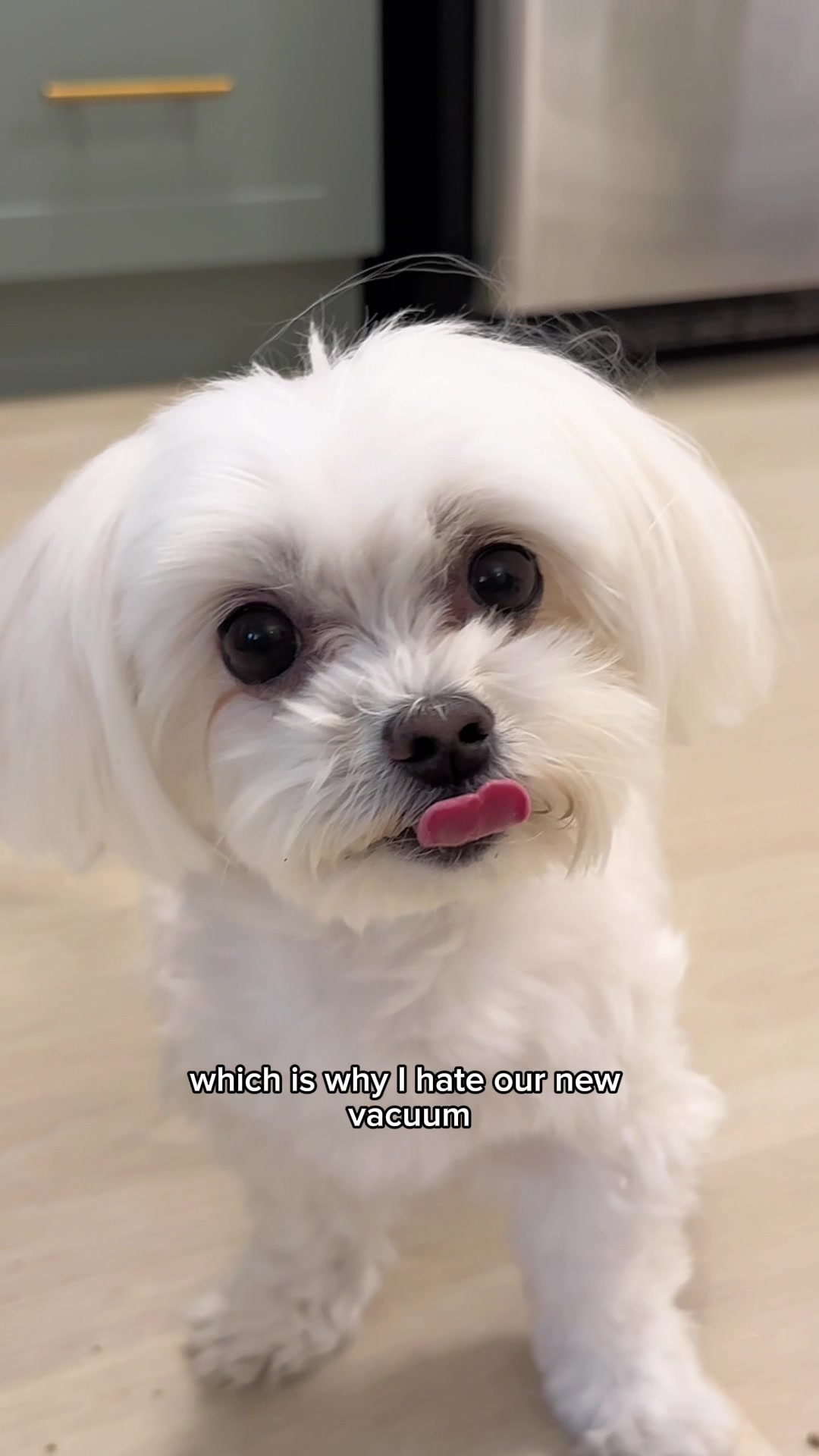 @Little Sophie kisses