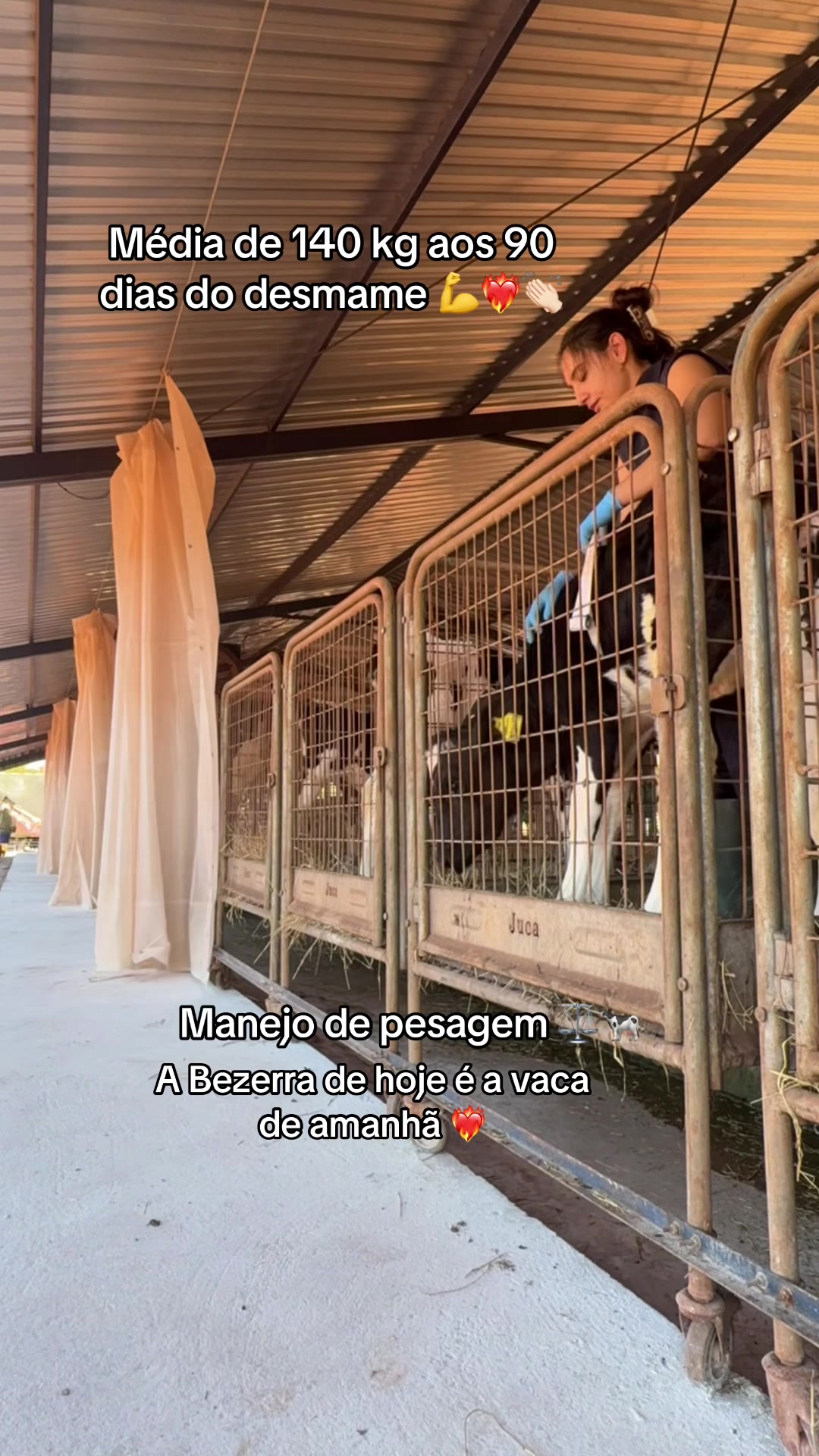 @Laura Rodrigues