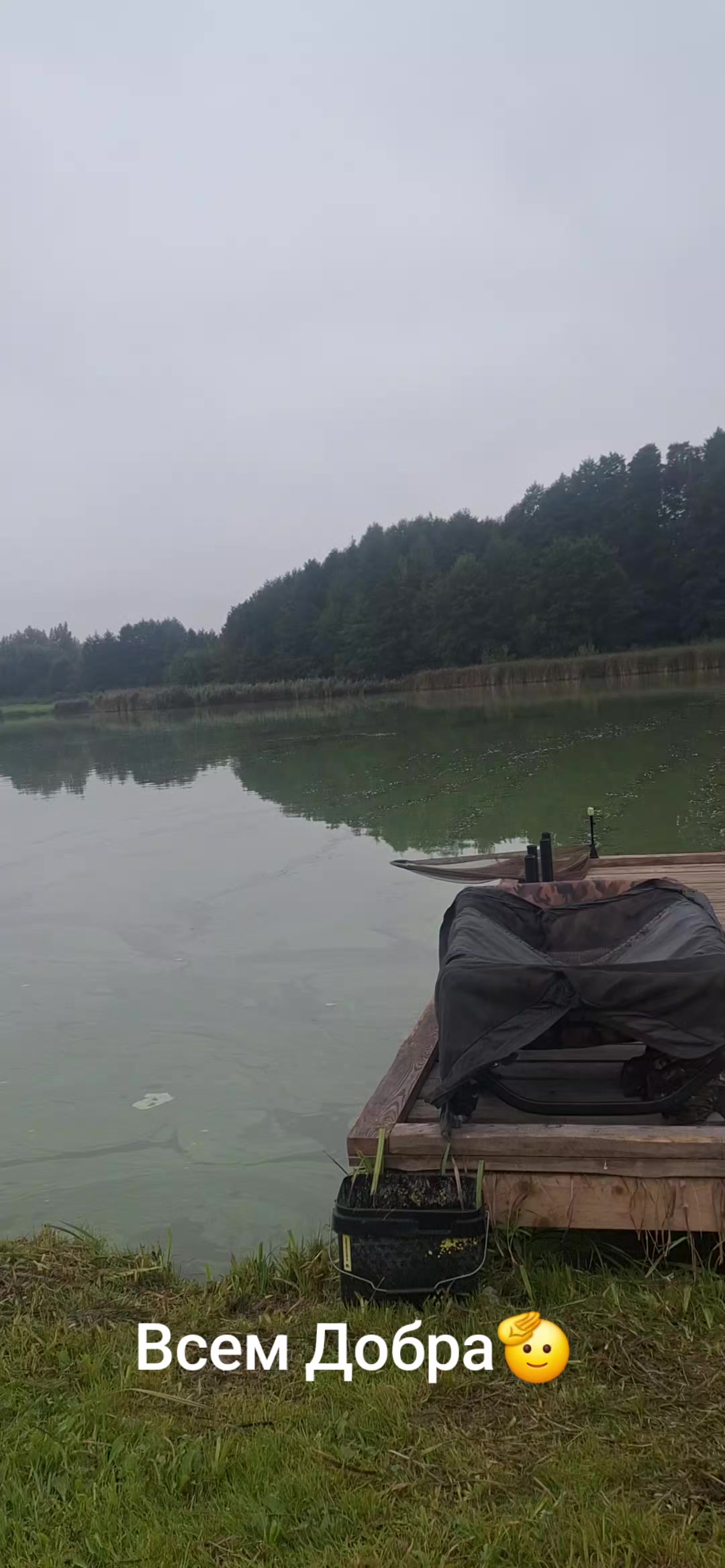 @Дикий карп рулит💪😎💪