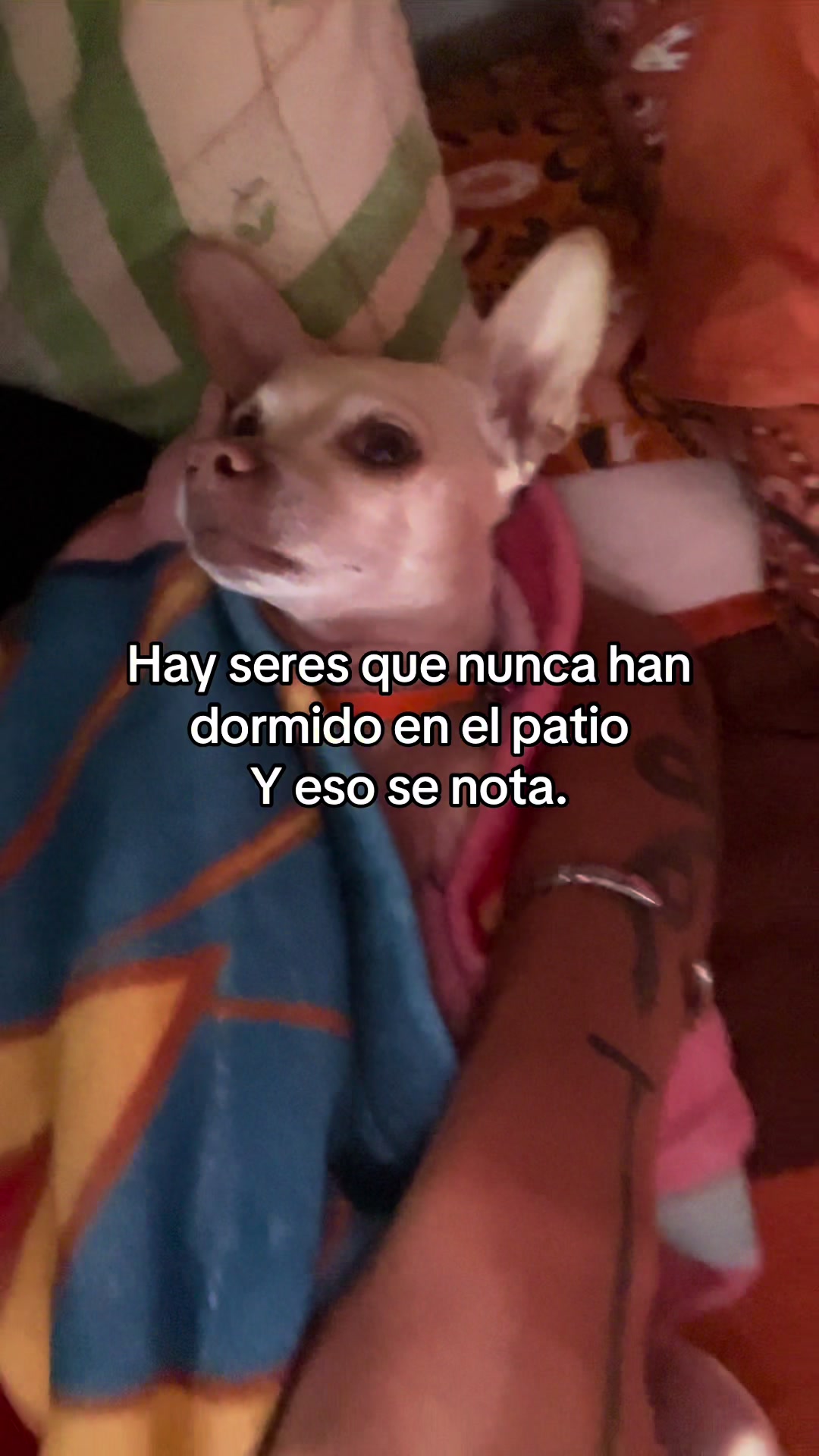 @Elverth Castillo