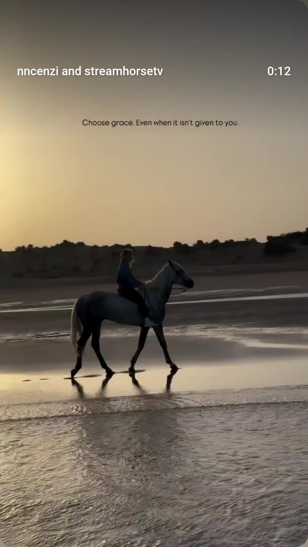 @streamhorse