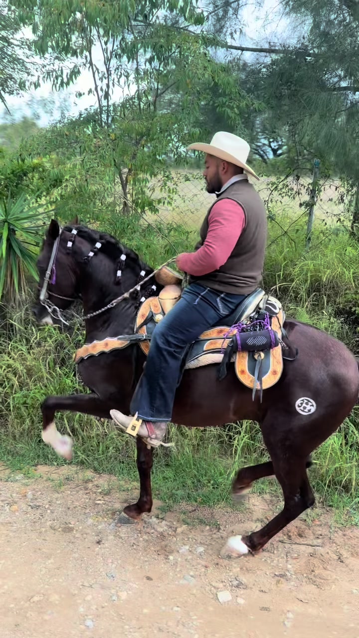 @Jos&eacute; Fonseca