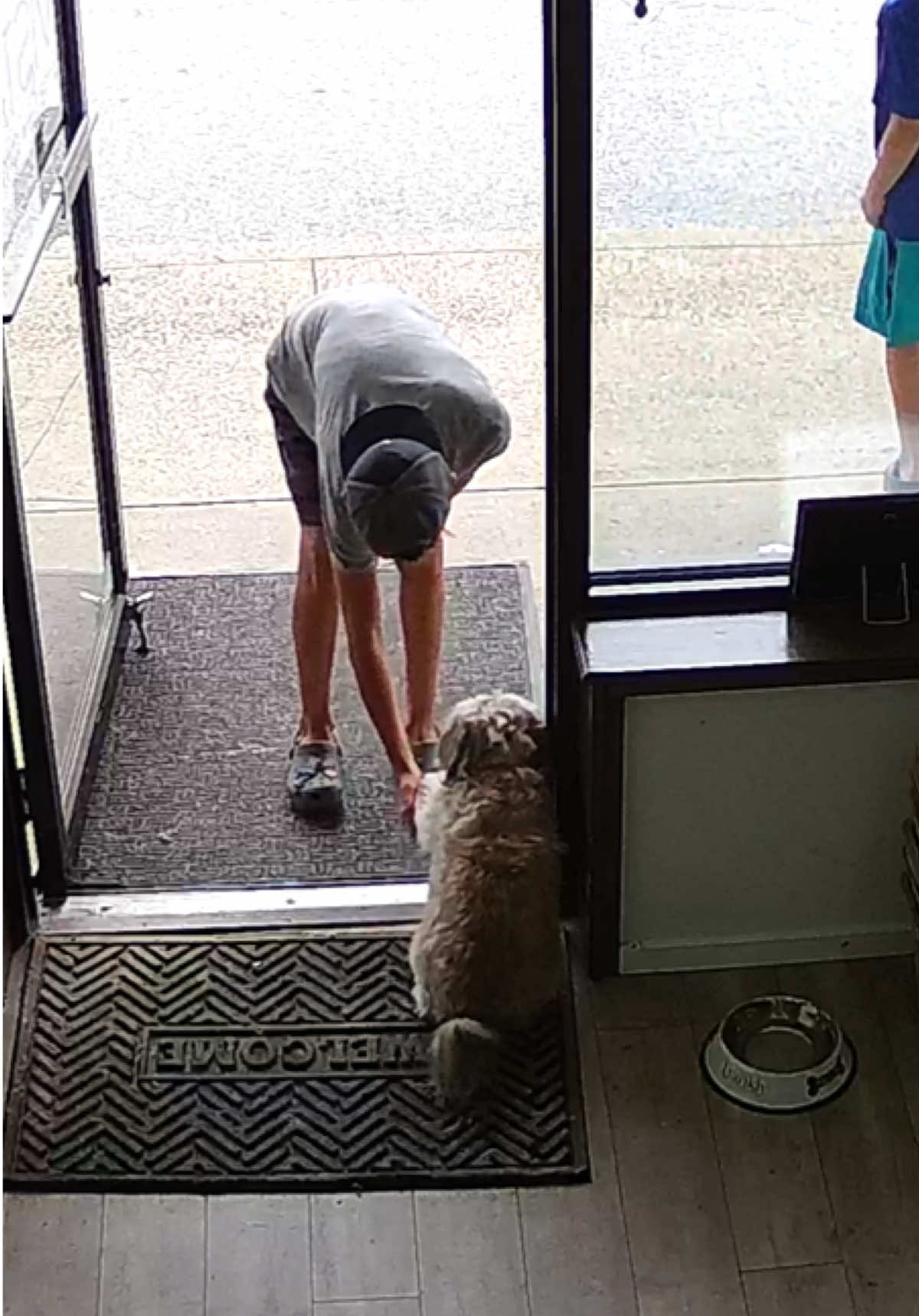 @Brownie #1 Store Dog Greeter