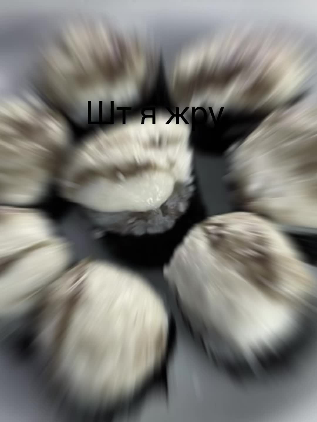 @⚠️Рехабушка⚠️