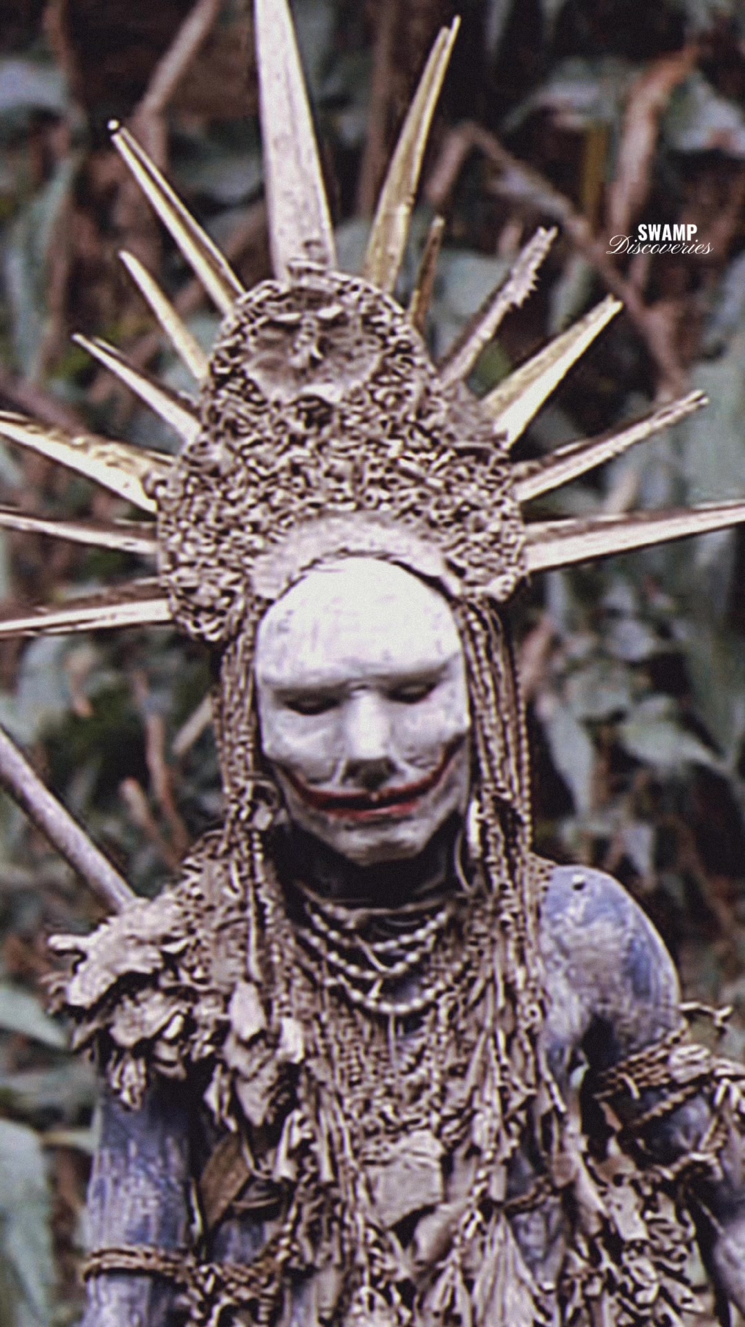 @SwampDiscoveries