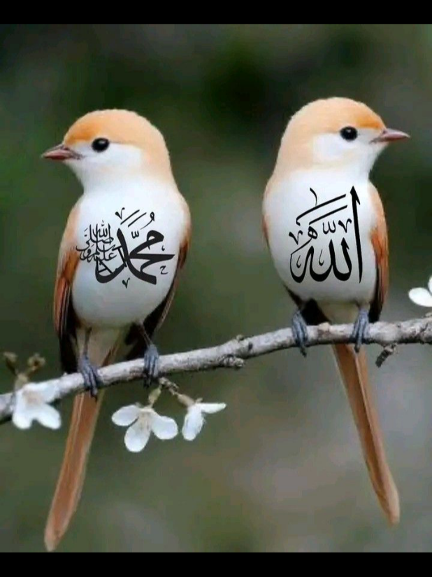@Sa Malik...1858