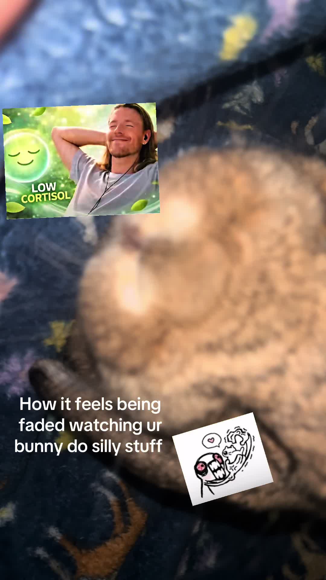 @Fadedbunny69