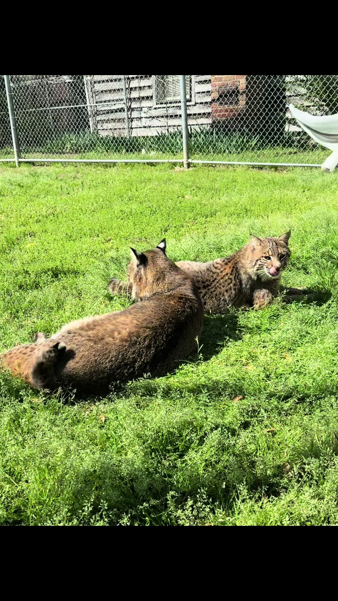 @Cedarhill Animal Sanctuary