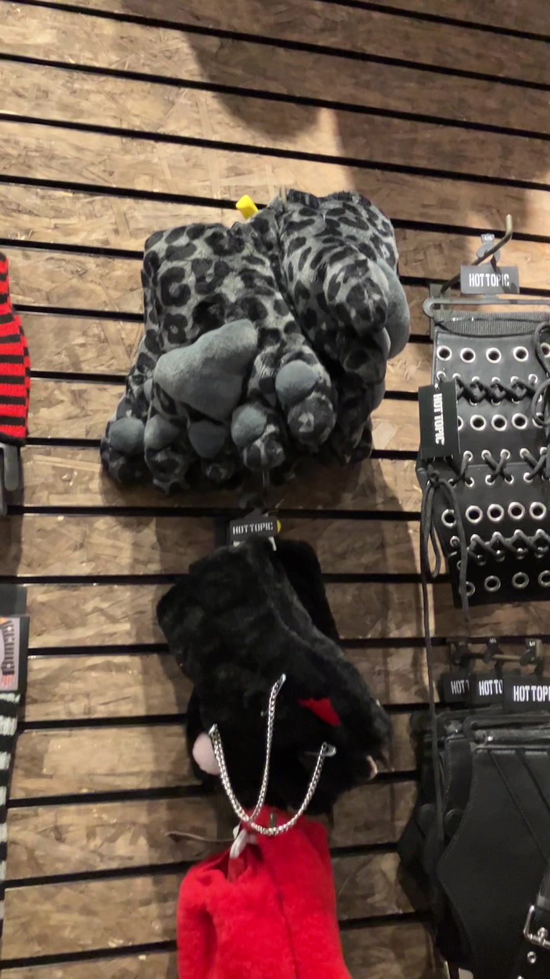 @Iwy the Dragon-Cat
