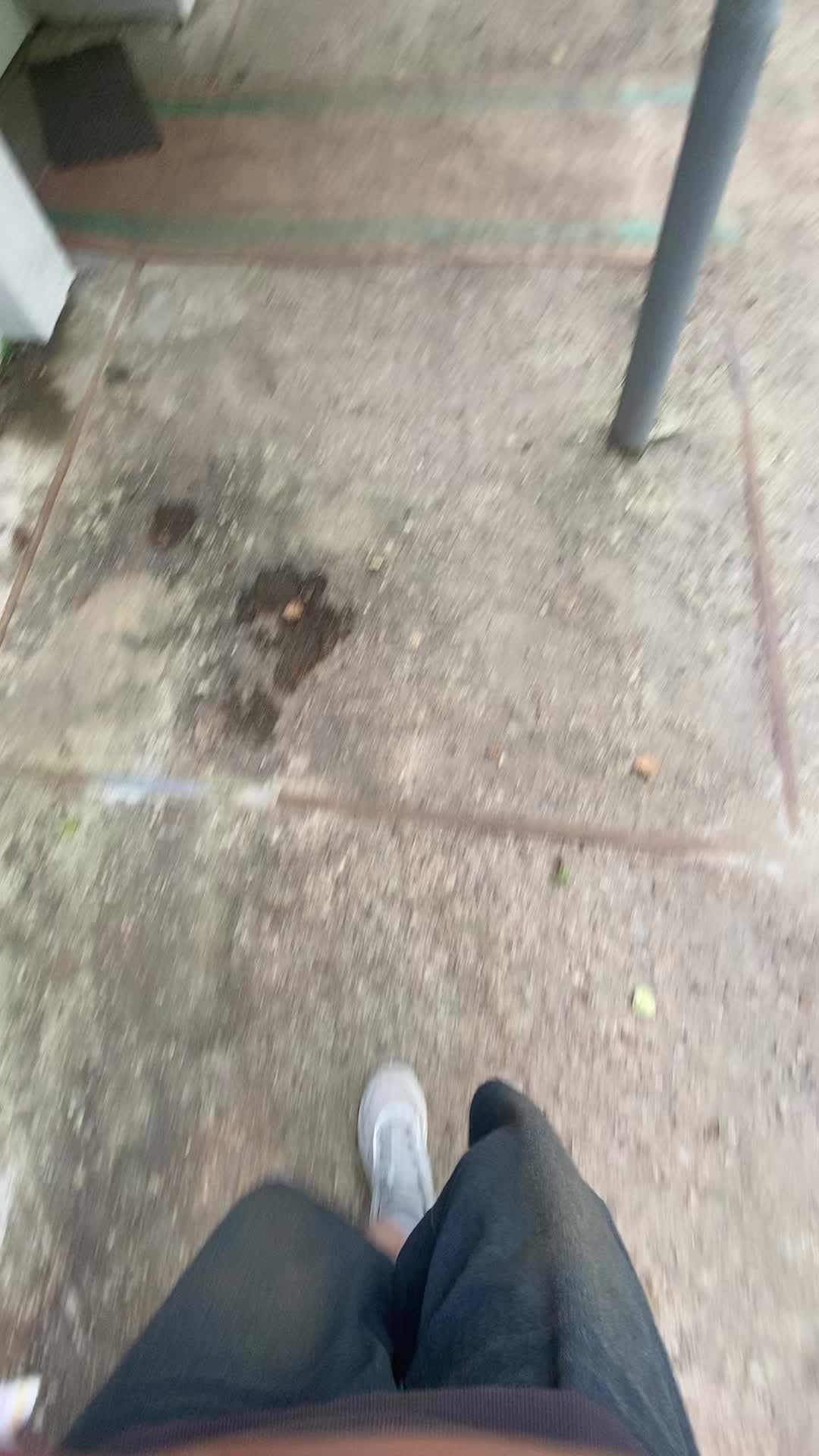 @ᴘᴀxᴇʟᴏᴛ