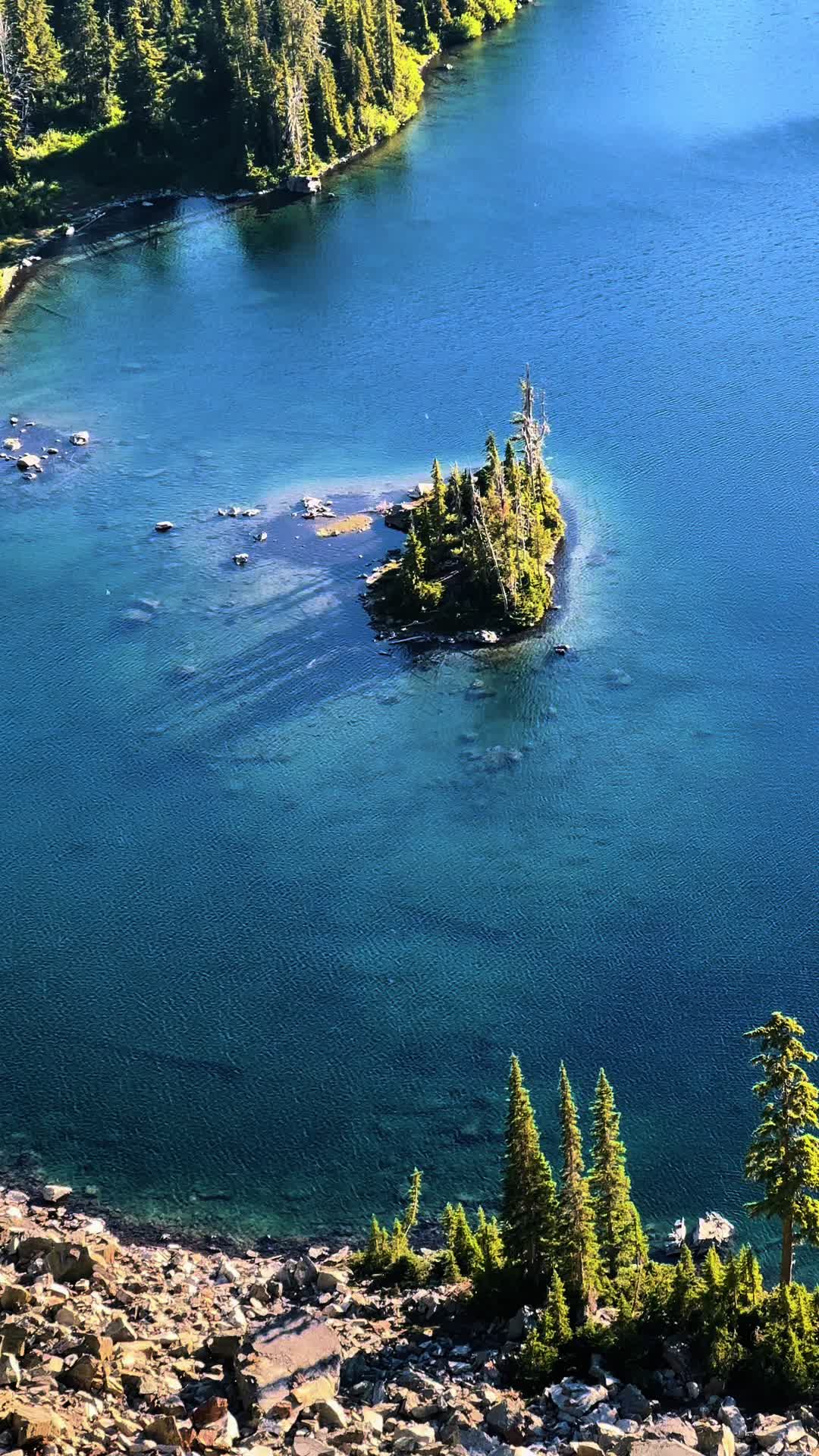 @🌲 James | WA 🏔️