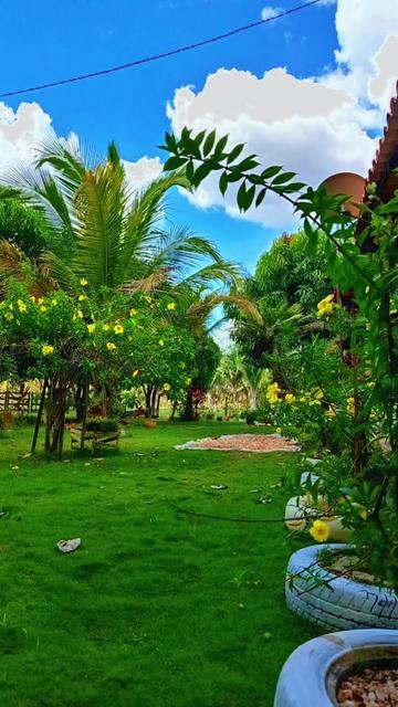 @BRAYAN 🇬🇹👍