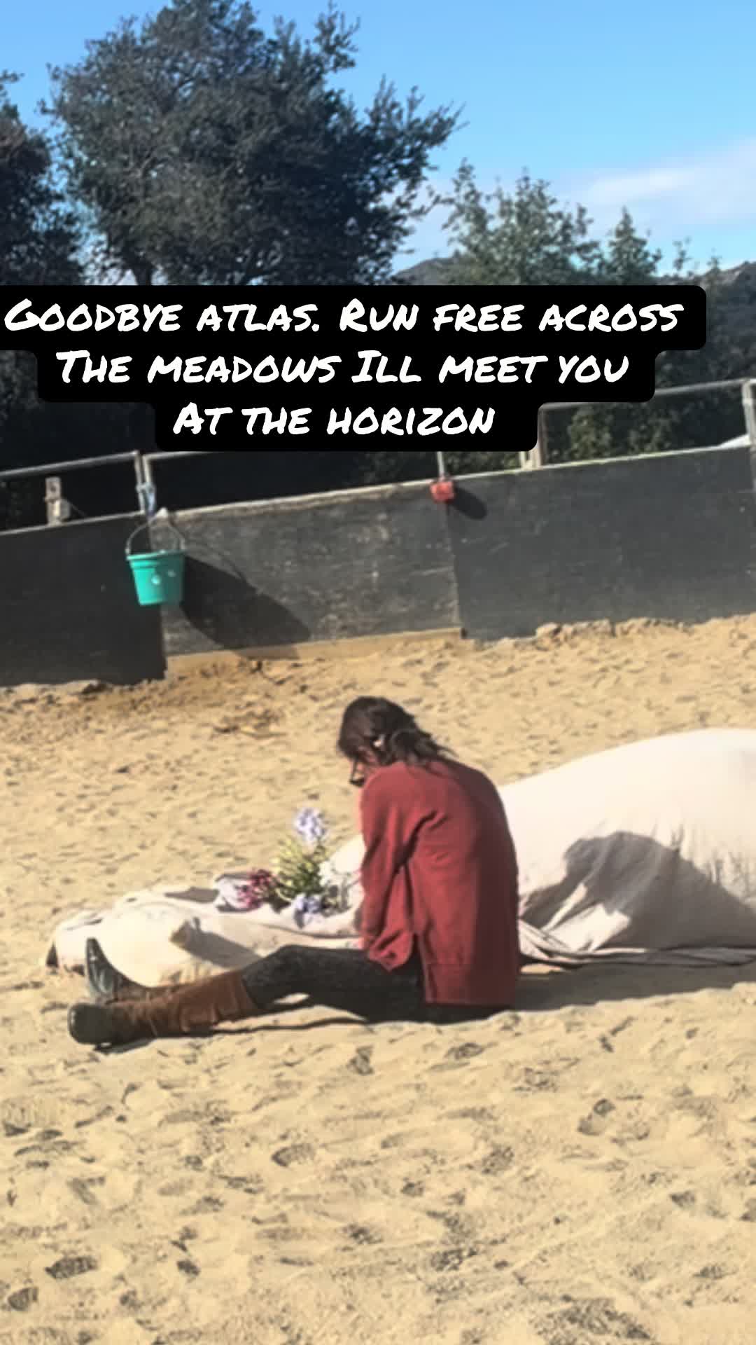 @runswiththeherd