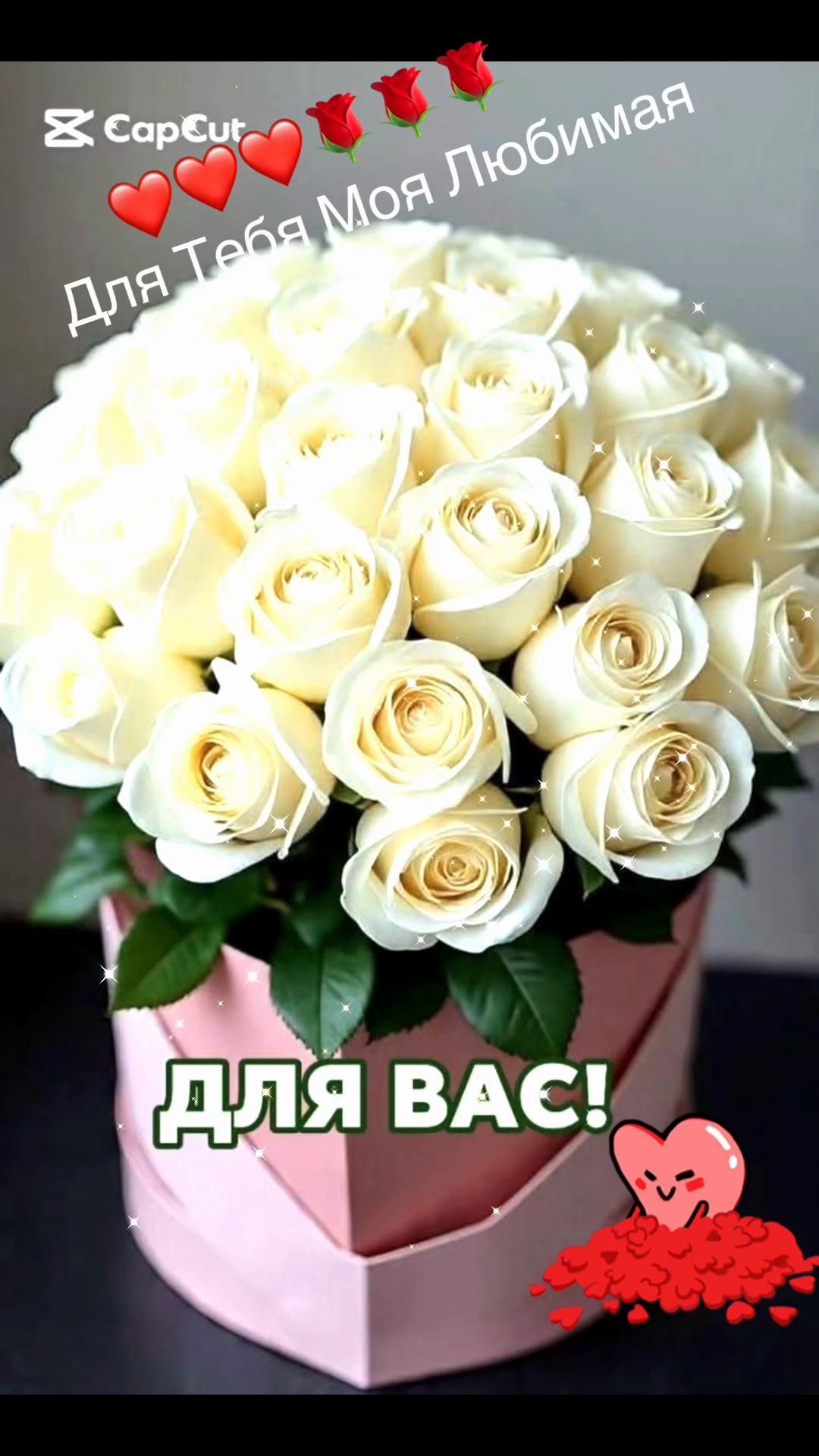 @zulfimysaivna
